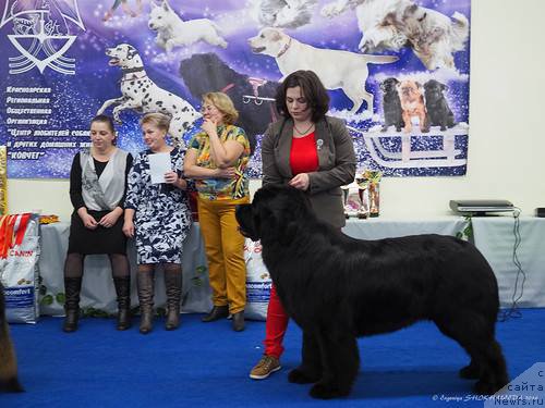 Фотография № 203112