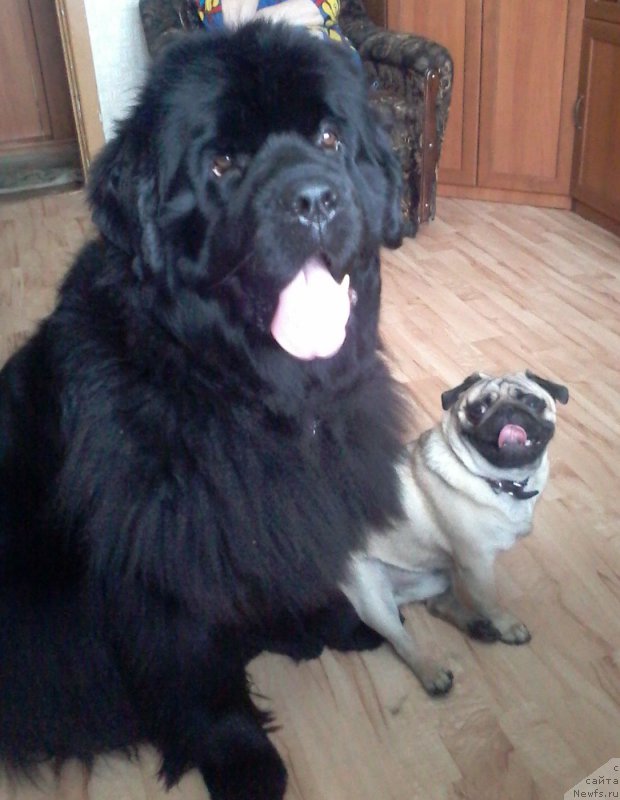 Фотография № 203117