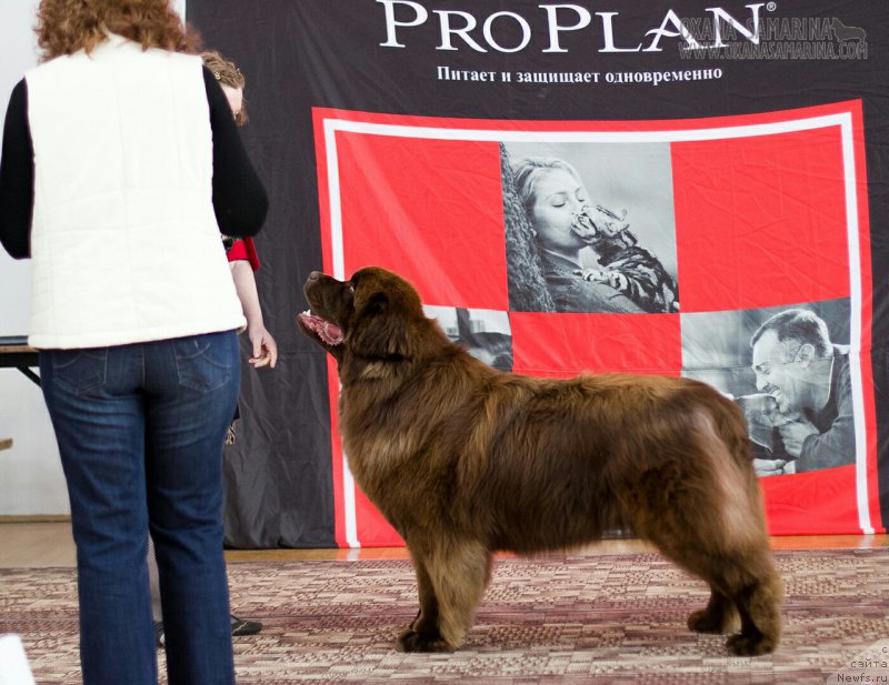 Фотография № 203120