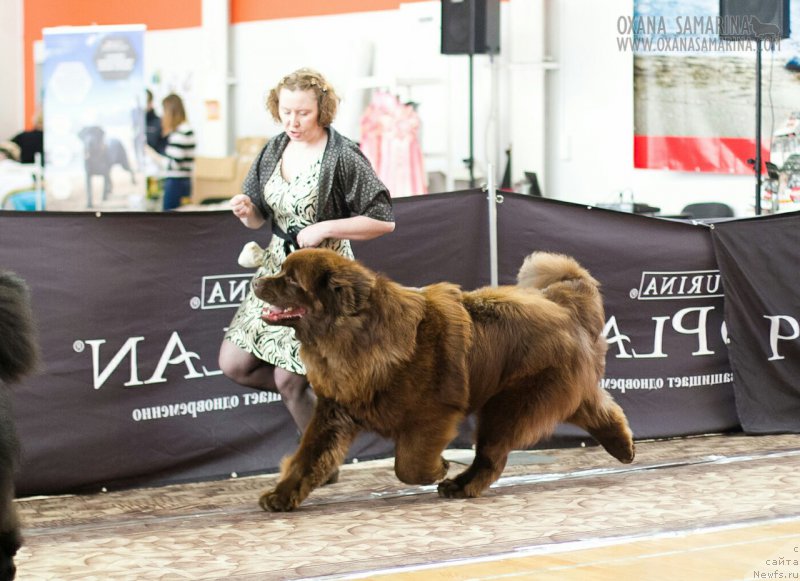 Фотография № 203121