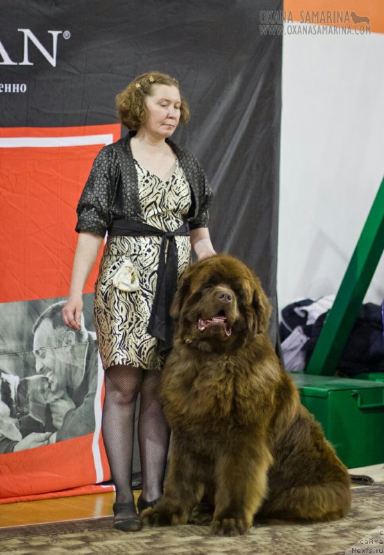 Фотография № 203122