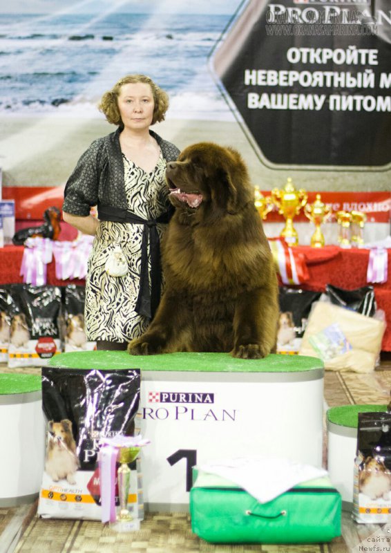 Фотография № 203123