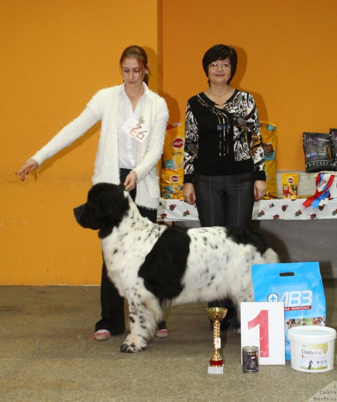 Фотография № 203183