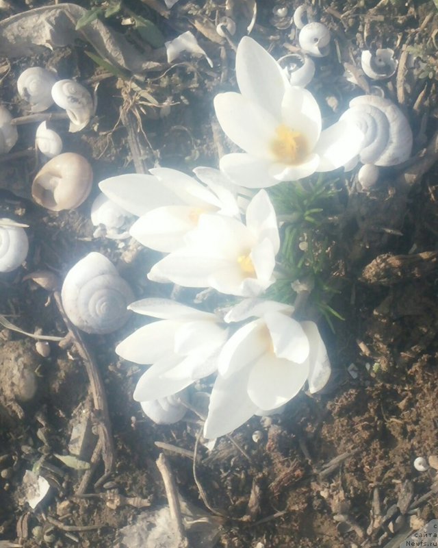 Фотография № 203186