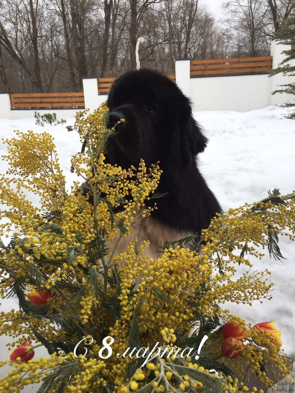 Фотография № 203187