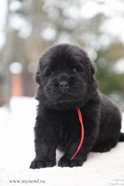 Фотография № 203203