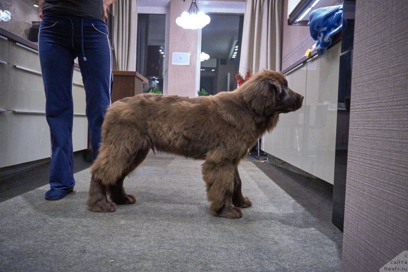 Фотография № 203232