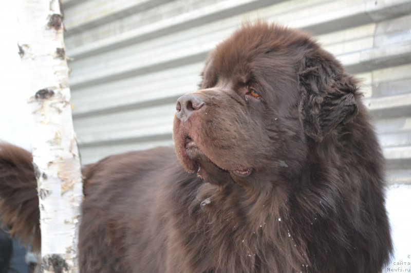 Фотография № 203242