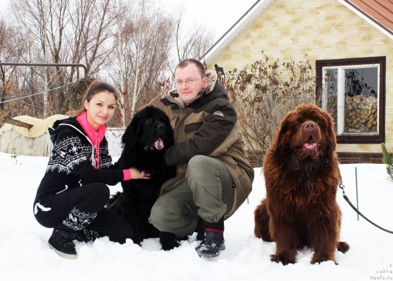 Фотография № 203272