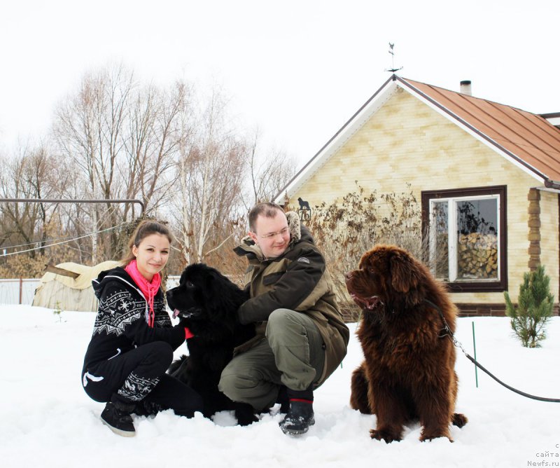 Фотография № 203273