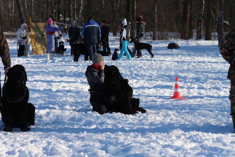 Фотография № 203282