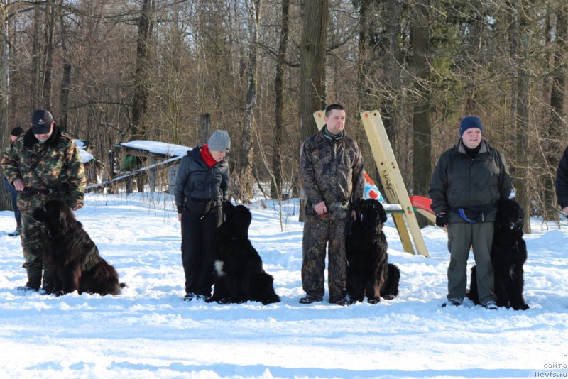 Фотография № 203283