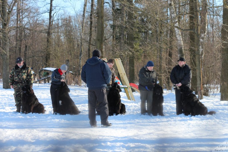 Фотография № 203284