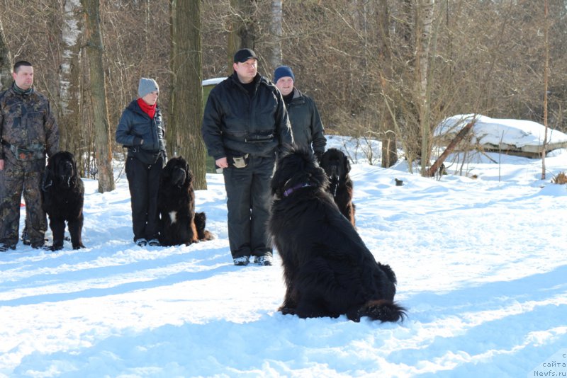 Фотография № 203288