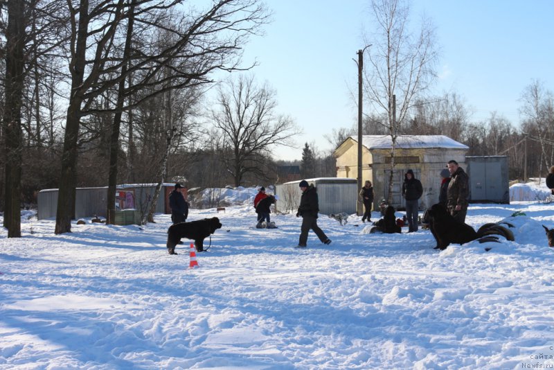 Фотография № 203290