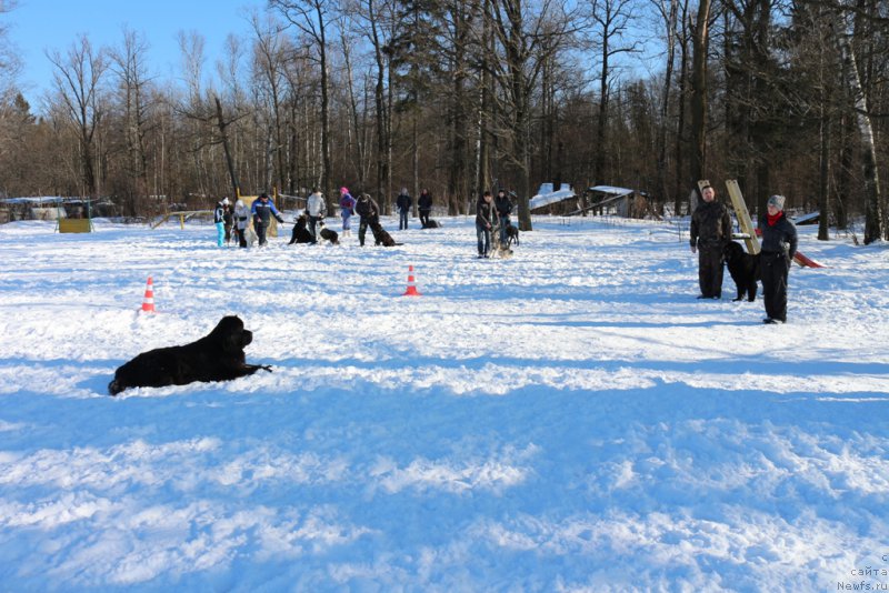 Фотография № 203292