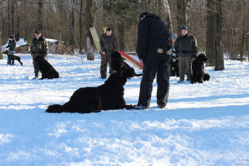 Фотография № 203293