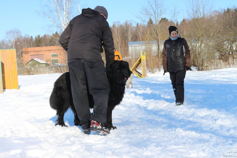 Фотография № 203295