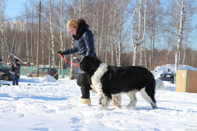 Фотография № 203296