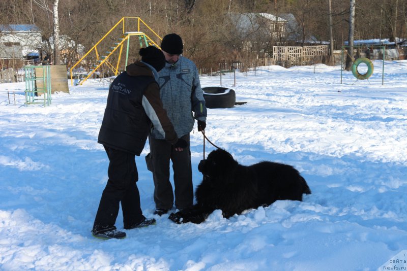 Фотография № 203297