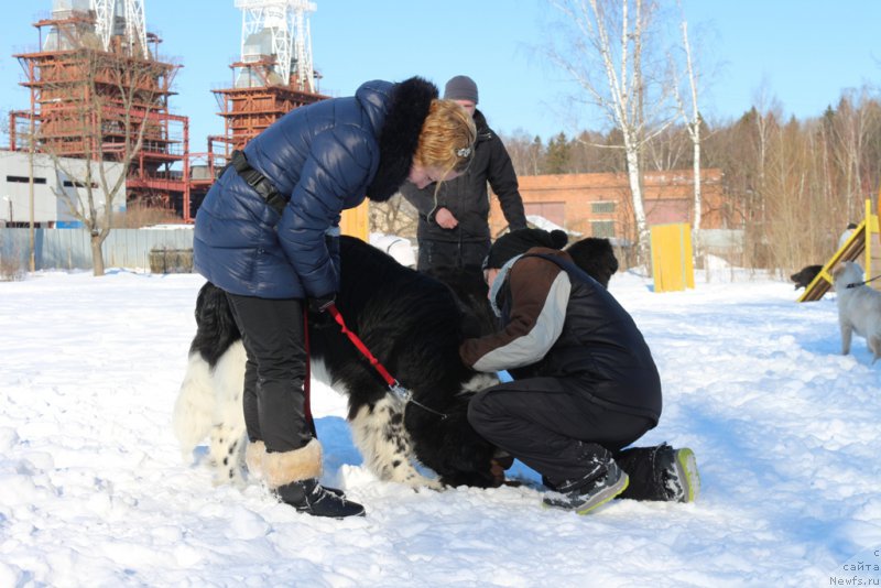 Фотография № 203298