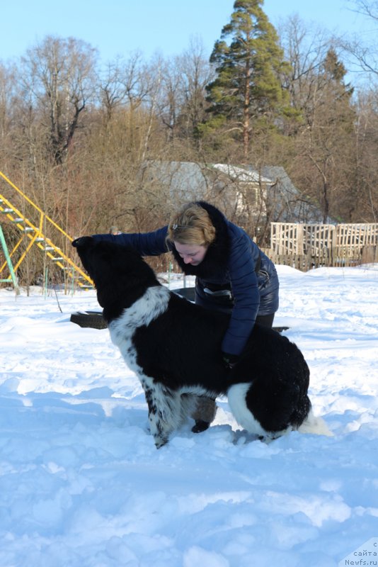 Фотография № 203299