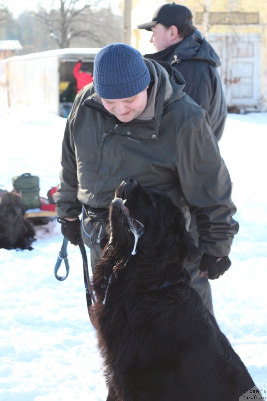 Фотография № 203300