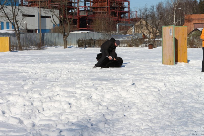 Фотография № 203302