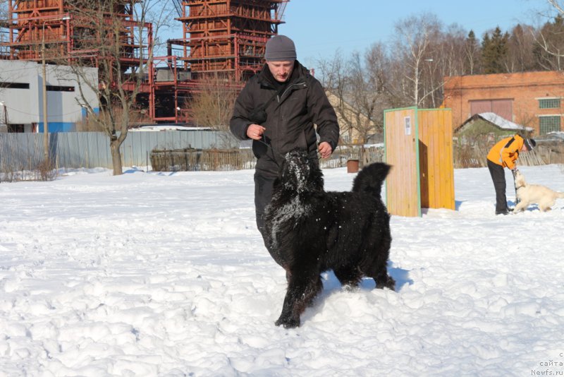 Фотография № 203303