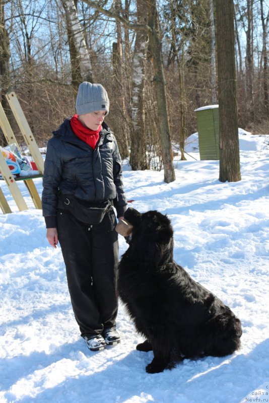 Фотография № 203304