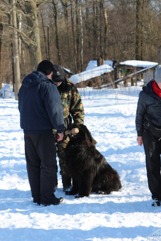 Фотография № 203305