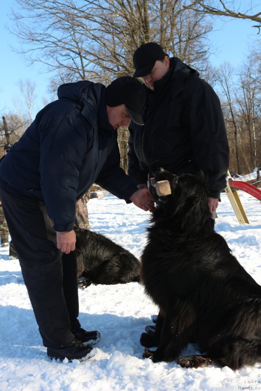 Фотография № 203307