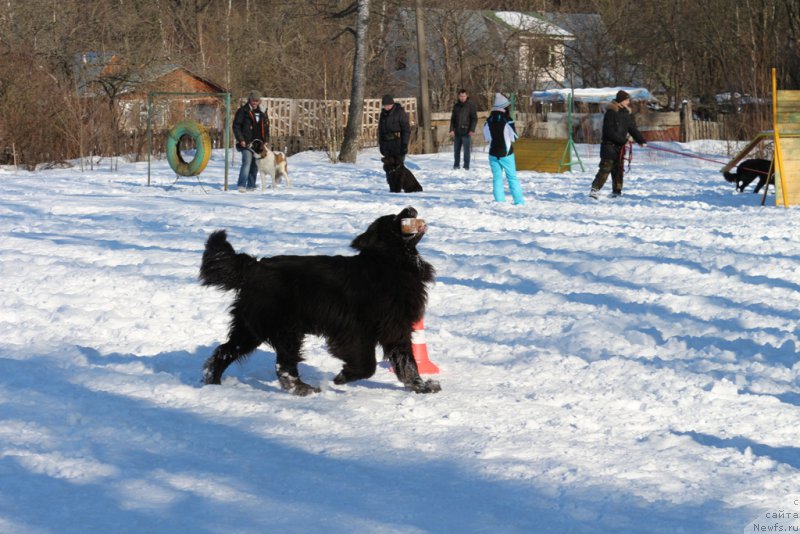 Фотография № 203310