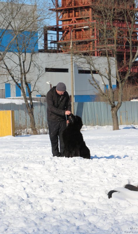 Фотография № 203311