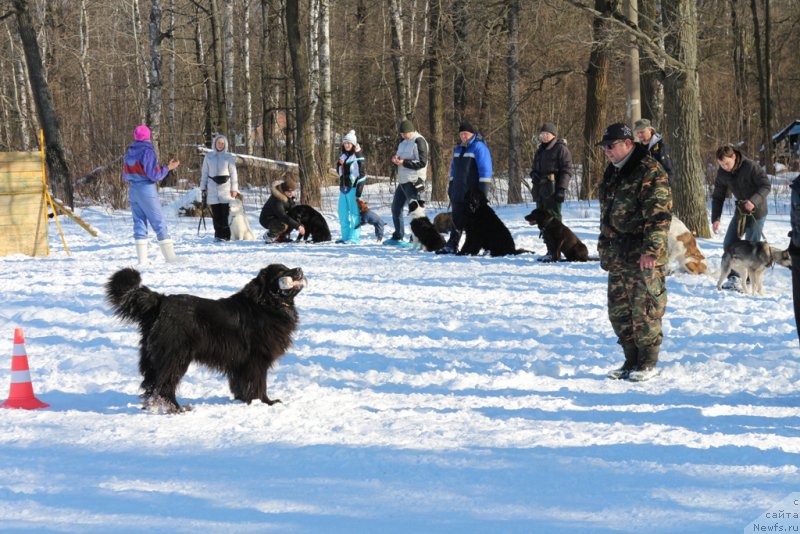 Фотография № 203312