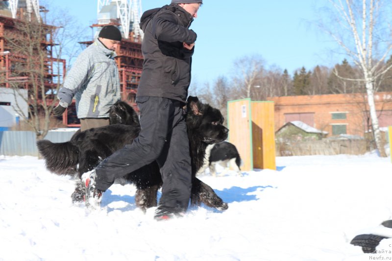 Фотография № 203313