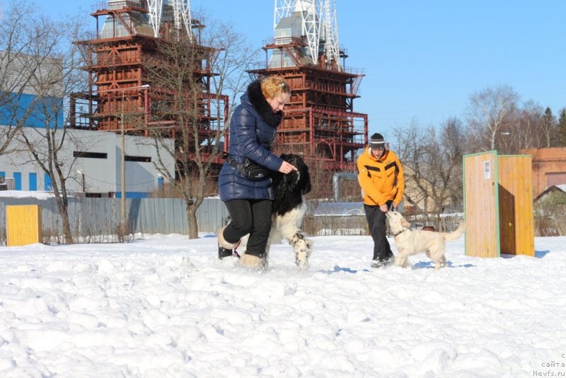 Фотография № 203314