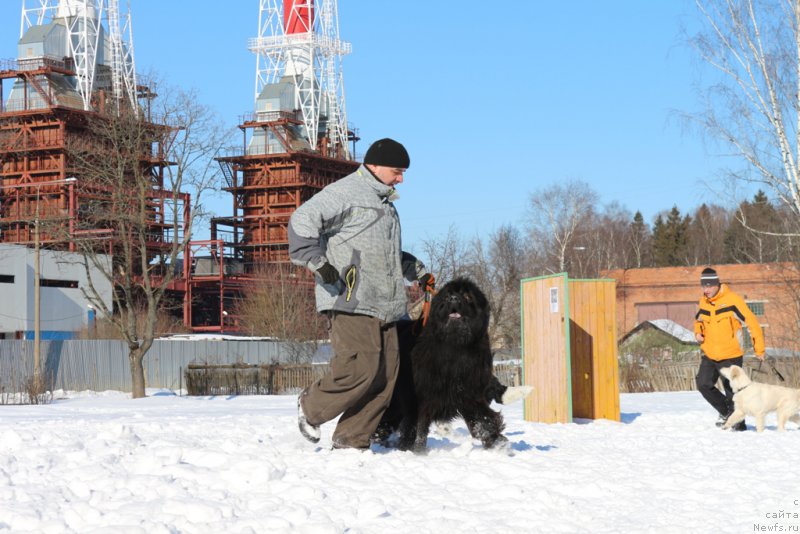 Фотография № 203315