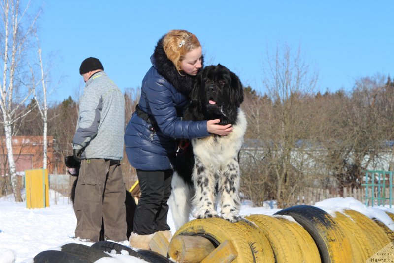 Фотография № 203317