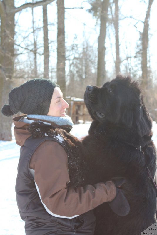 Фотография № 203318