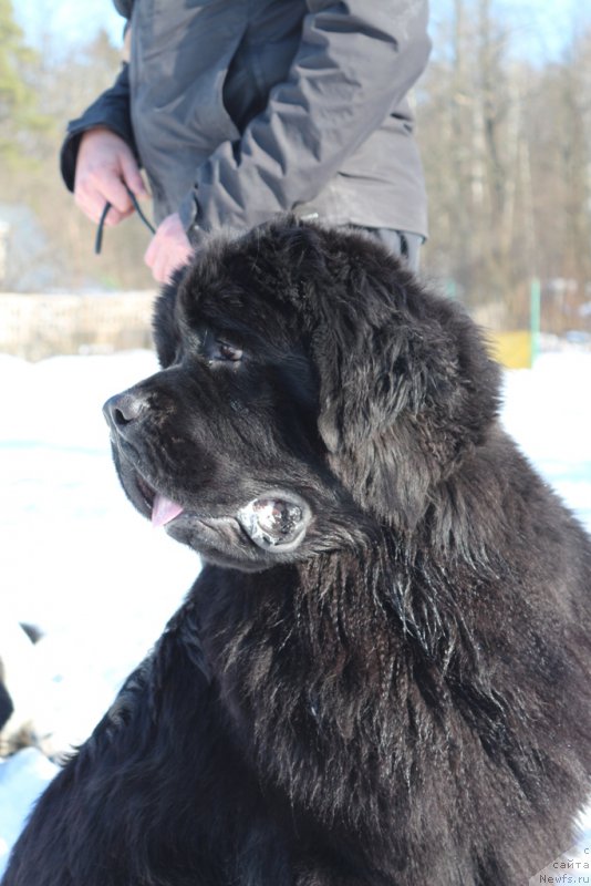 Фотография № 203321