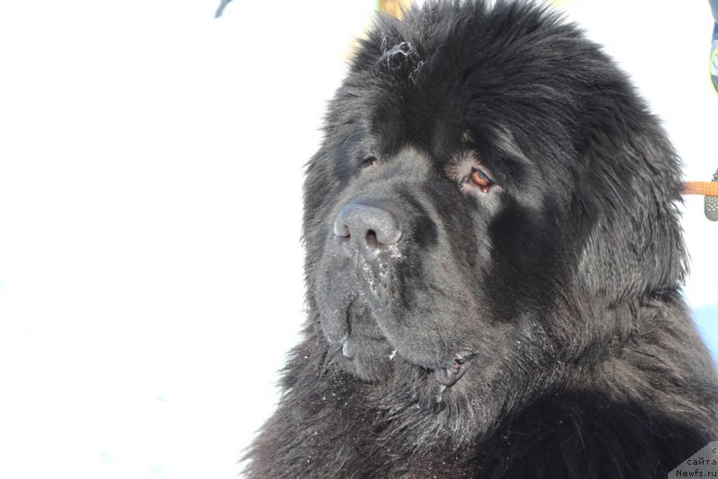 Фотография № 203322