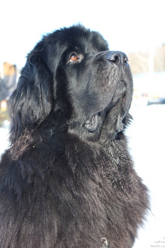 Фотография № 203323