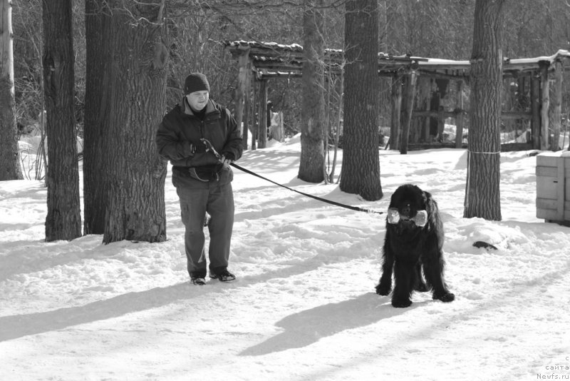 Фотография № 203325