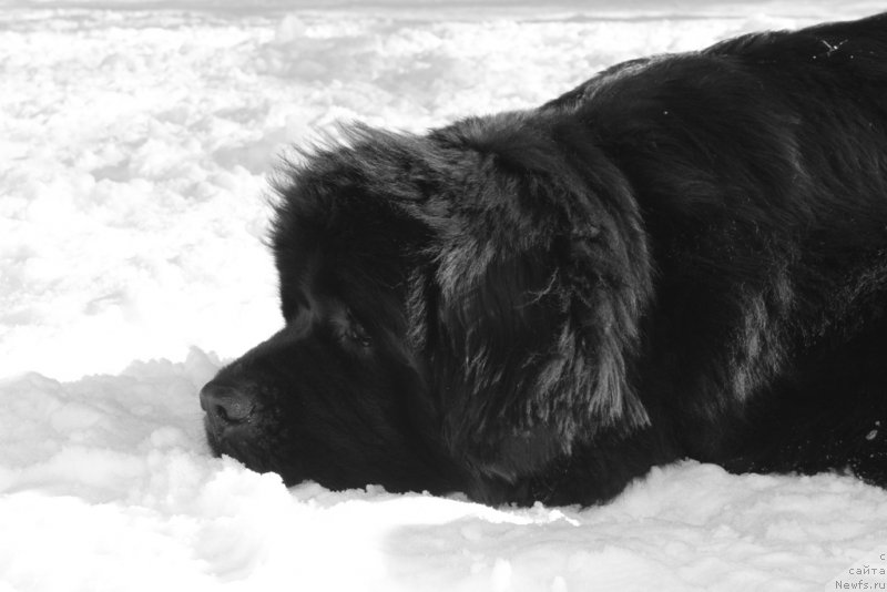 Фотография № 203326