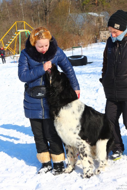 Фотография № 203327