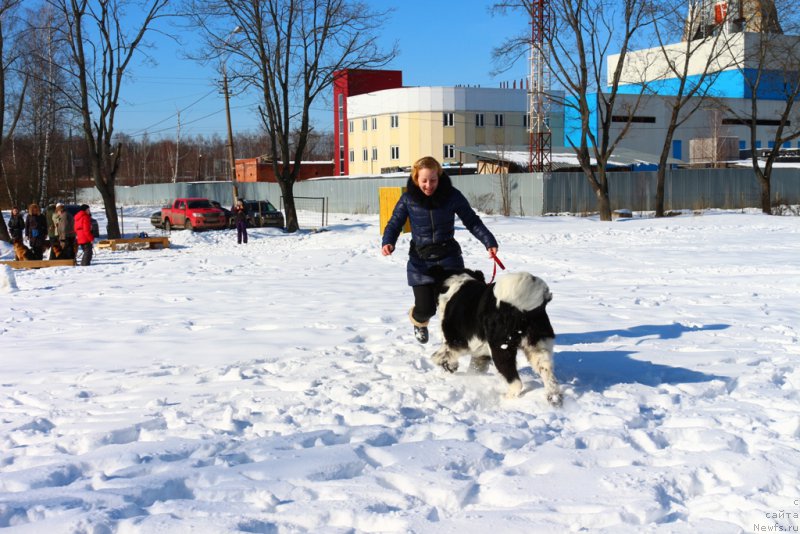 Фотография № 203328