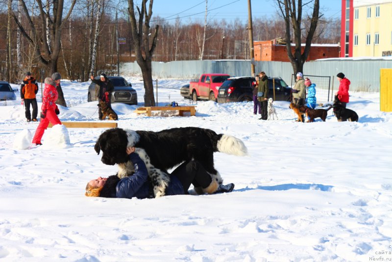 Фотография № 203329