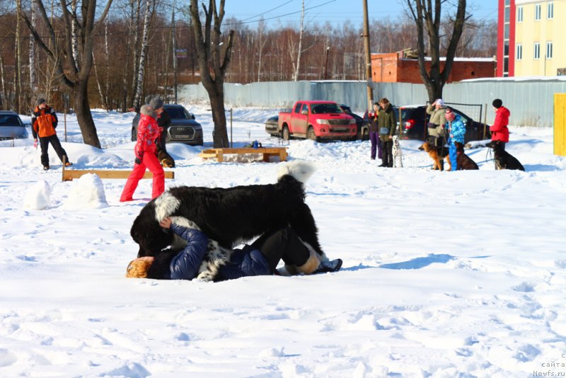 Фотография № 203330