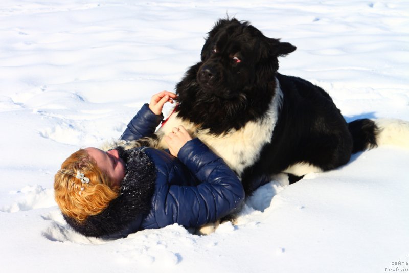 Фотография № 203331